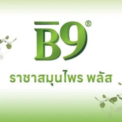 Logo B9